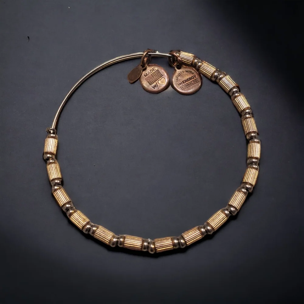 Alex and Ani Tigris Beaded bracelet with charms and Box